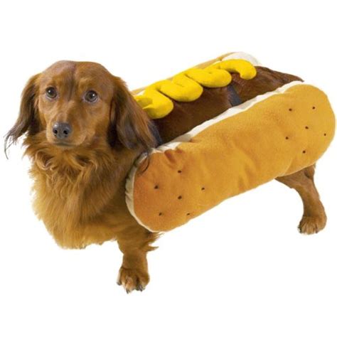 small dog hot dog costume|accepted hot dog suit.